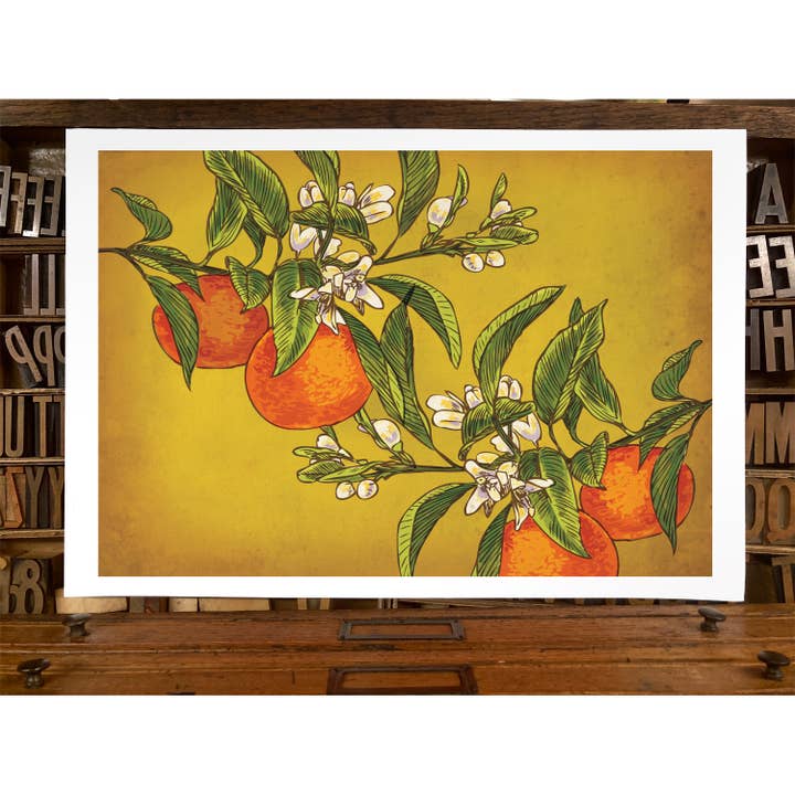 Rigel Paper - Wholesale Art Print - Oranges Art Print2