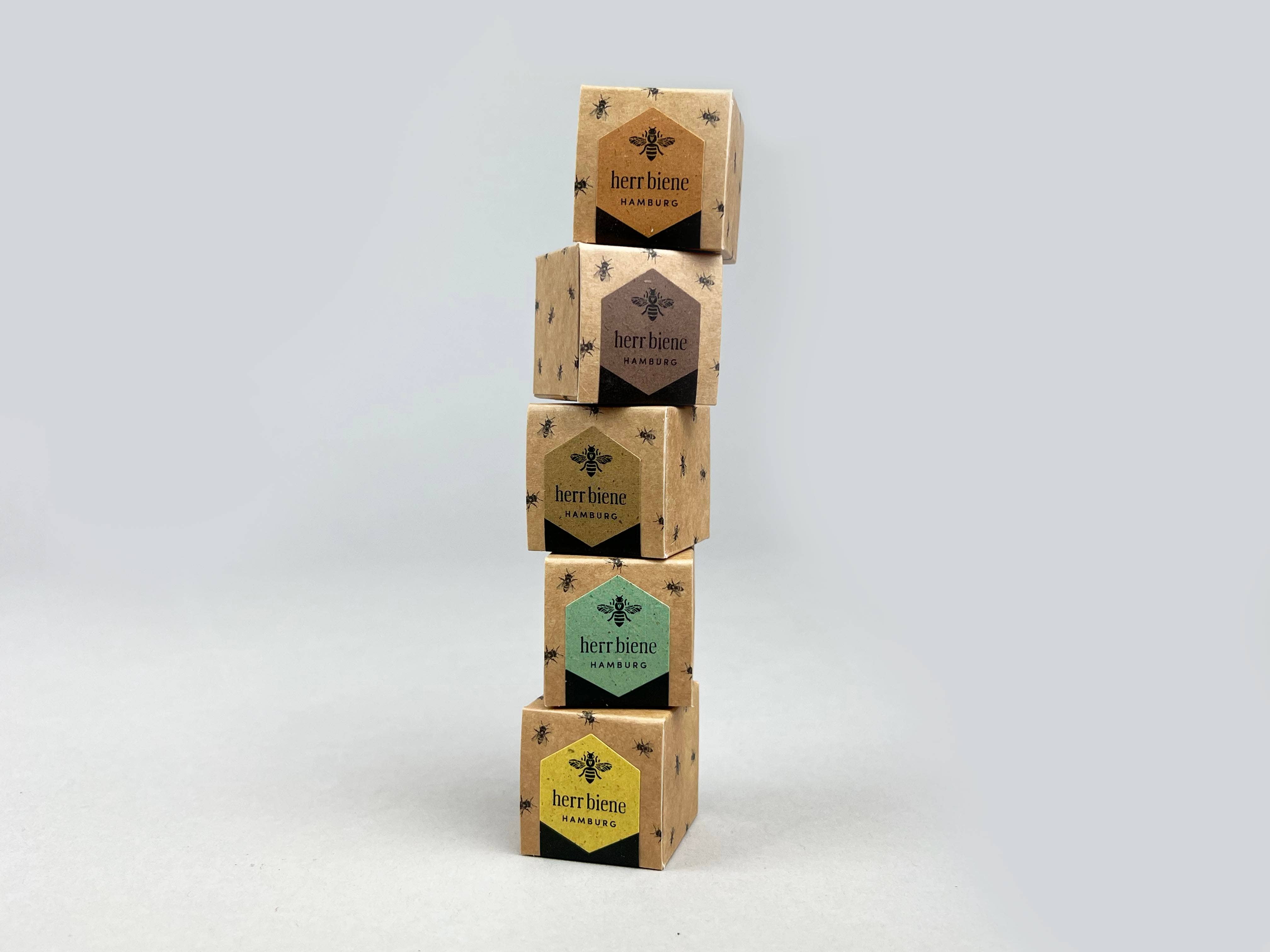 herr biene GmbH - Wholesale Chocolate Box - 1st honey chocolates in 8 varieties5