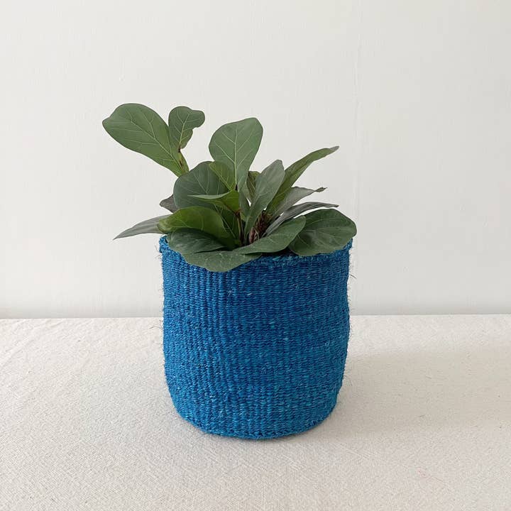 Amsha - Wholesale Plant Pot - Storage Plant Basket: Teal Blue3