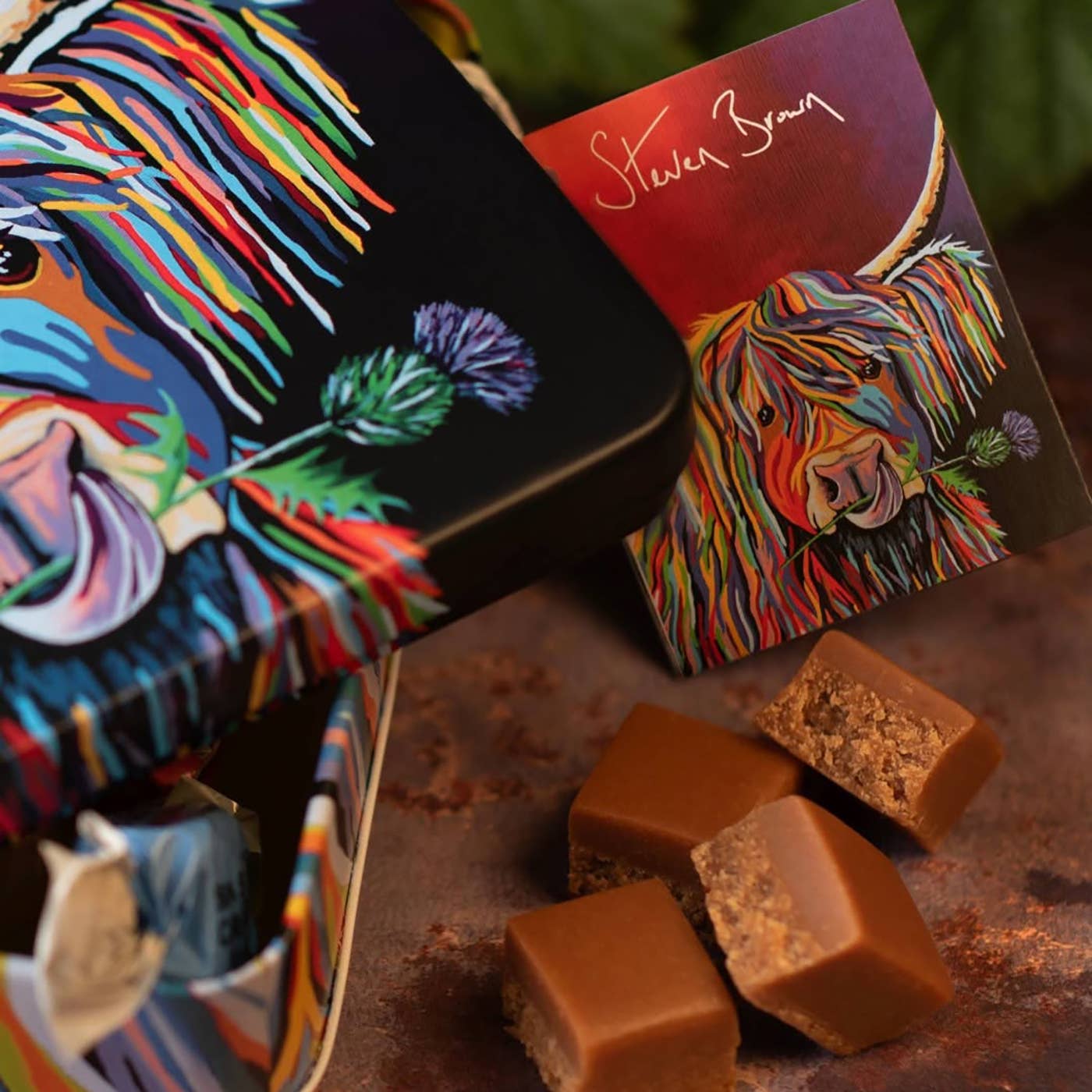 Gardiners Handmade Confectionery - Wholesale Fudge - Lizzie McCoo Salted Fudge "Steven Brown Art"5
