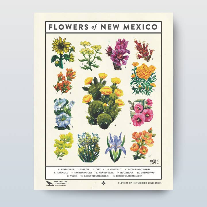 Flowers Of New Mexico: 11x14 Poster for wholesale by Painting the Southwest