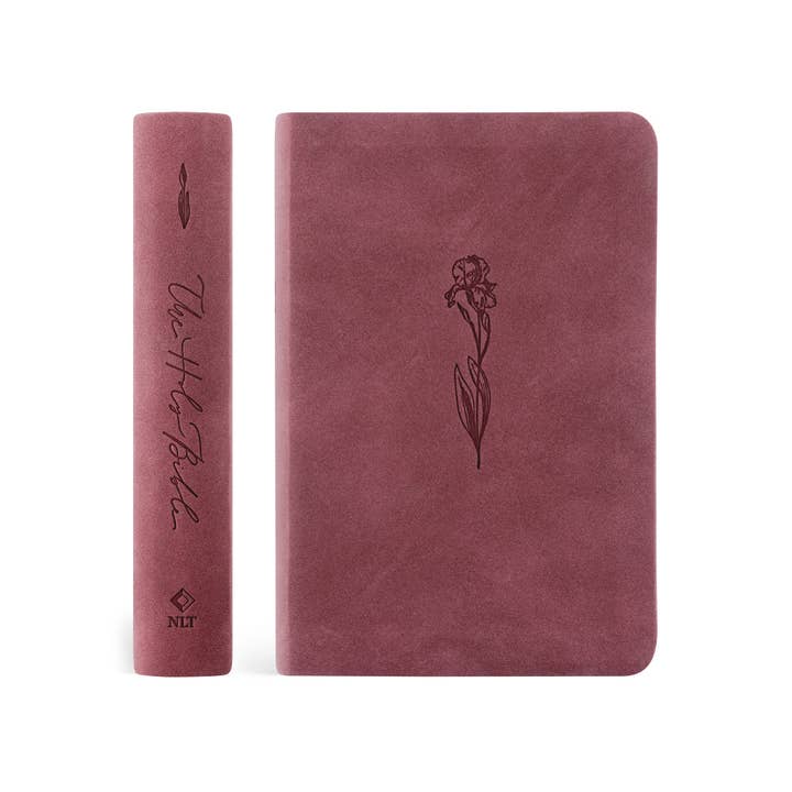 Hosanna Revival – Engroshandel Religionsbog – NLT Kompakt Bibel: Helena Tema2