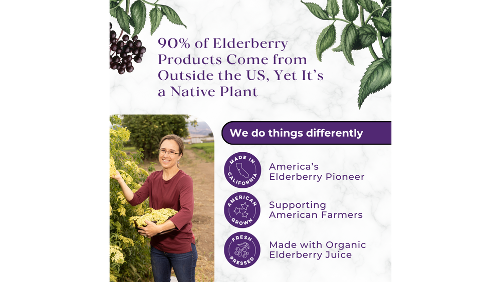 Carmel Berry Company - Wholesale Flavored Syrup - Elderberry Syrup | Immunity | Premium | Mocktail | USA | 4oz1