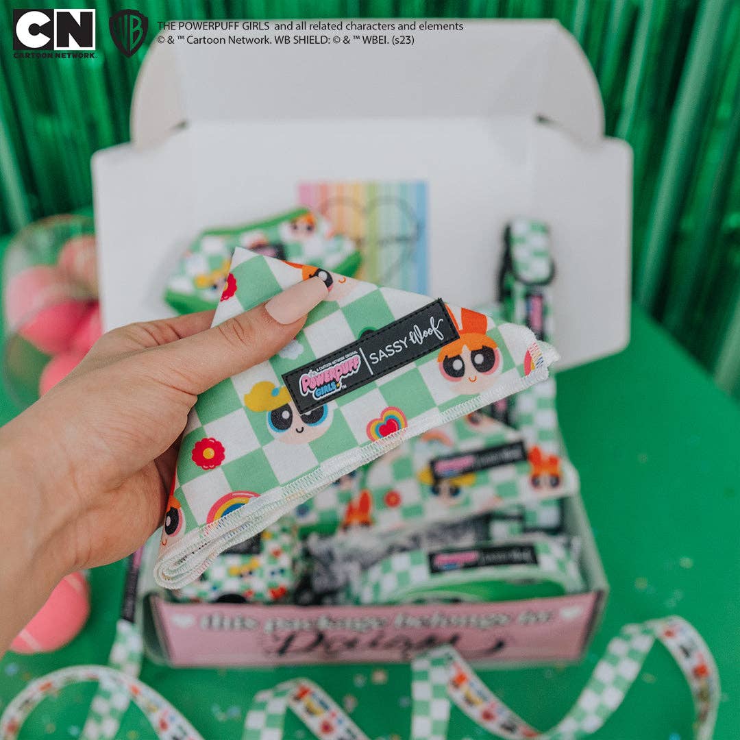 SASSY WOOF - Wholesale Pet Bandana - Dog - Dog Bandana - The Powerpuff Girls™ (Green)4