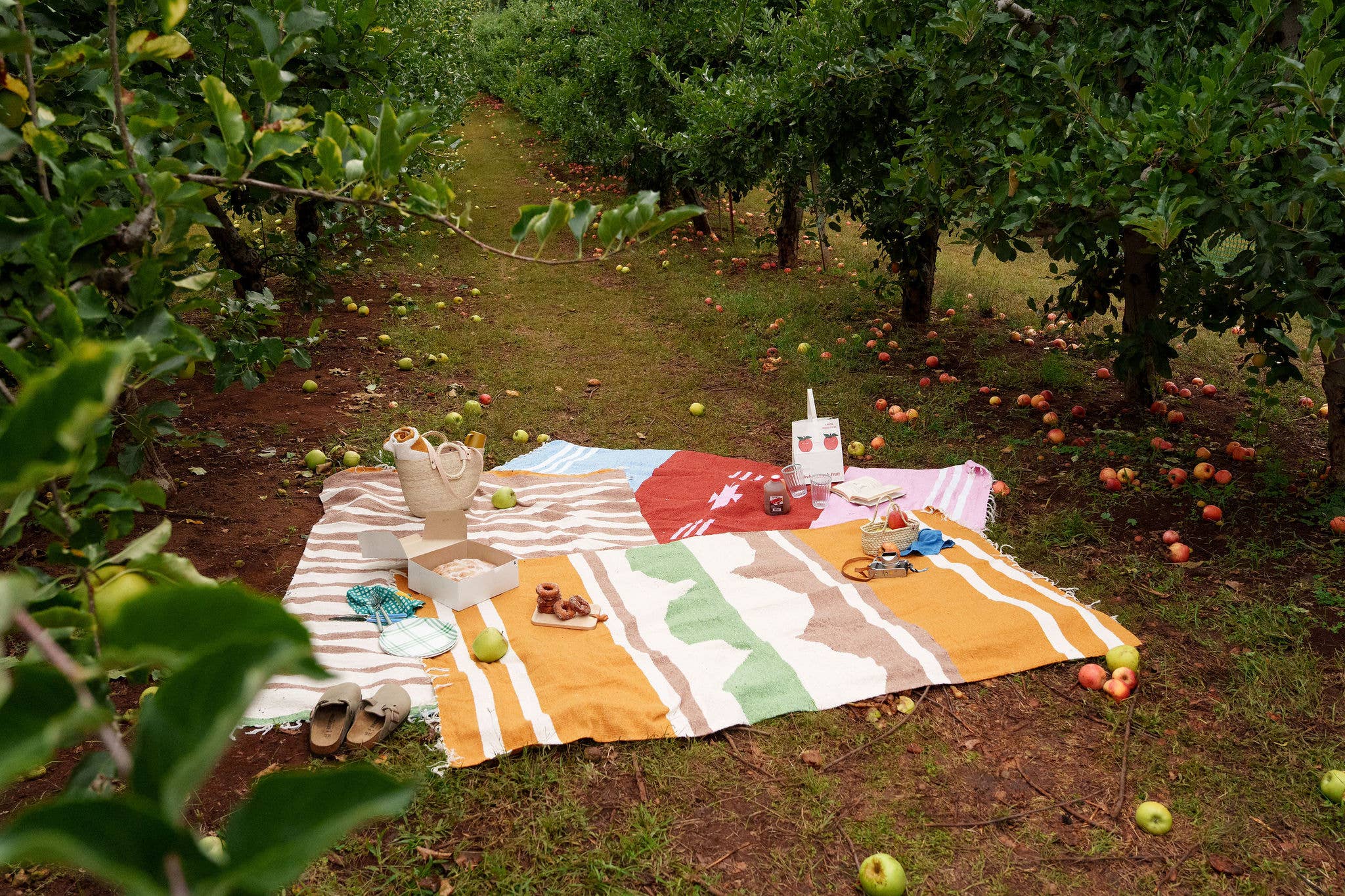 Caminito - Wholesale Decoratiedeken - Marea Manzana - Dekenrol5