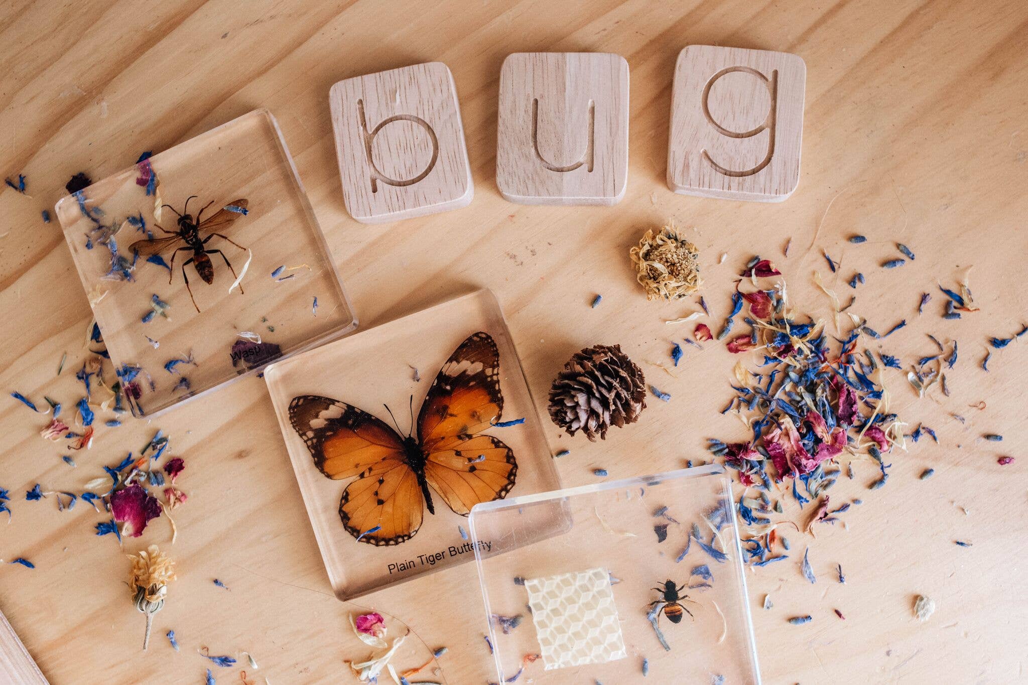 Q Toys - Wholesale Wood Toy - Kids - Word Building Kit3