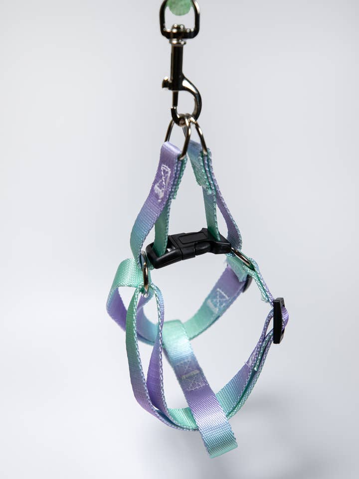Harnais pour chien à couleur dégradée ajustable pour la vente par Mochaaaa