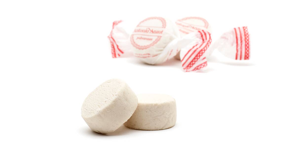 ANTONIO ANAUT - Wholesale Cookie - 4kg box. Cinnamon-flavored powder2