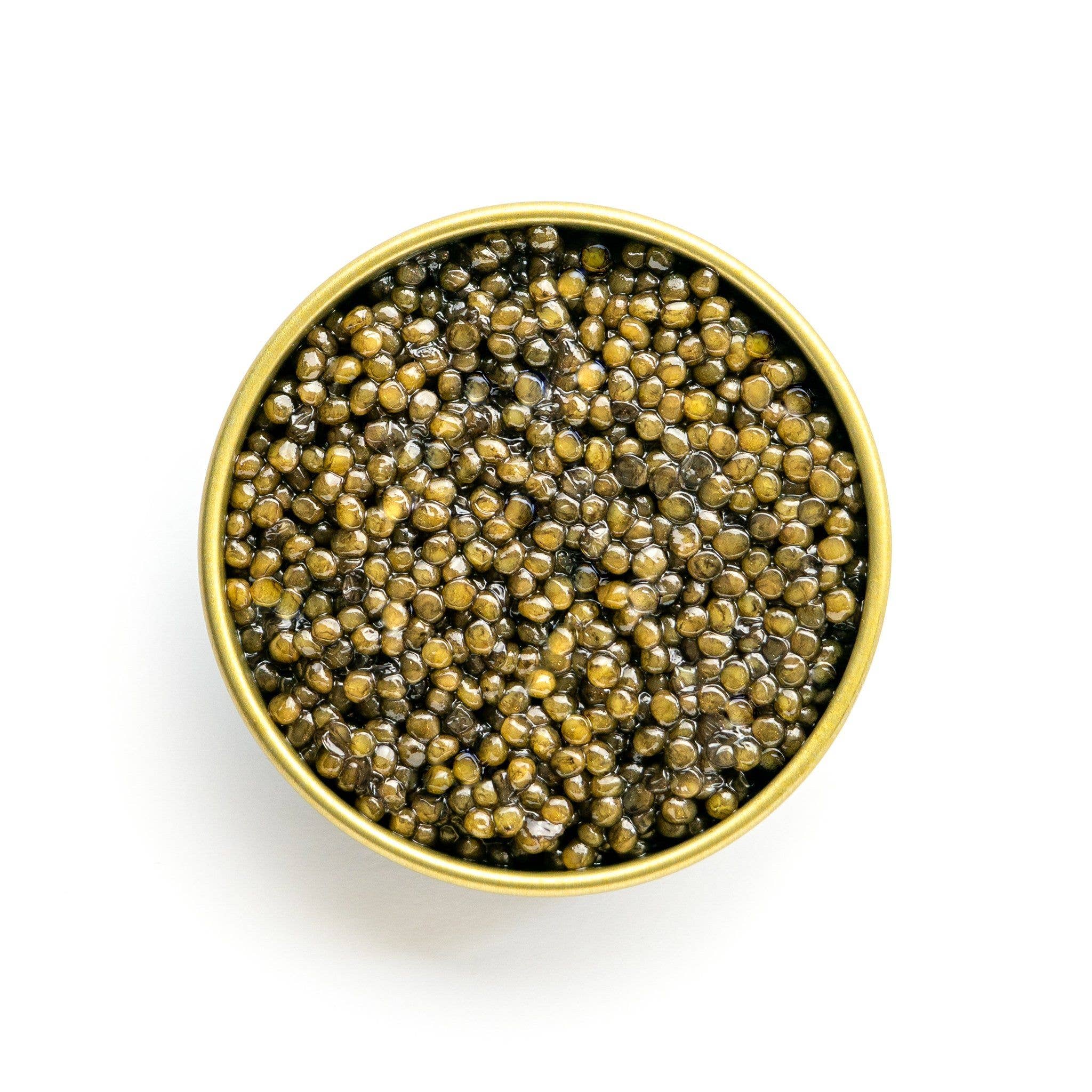 The Caviar Co. - Wholesale Fish/Seafood - Classic White Sturgeon Caviar1