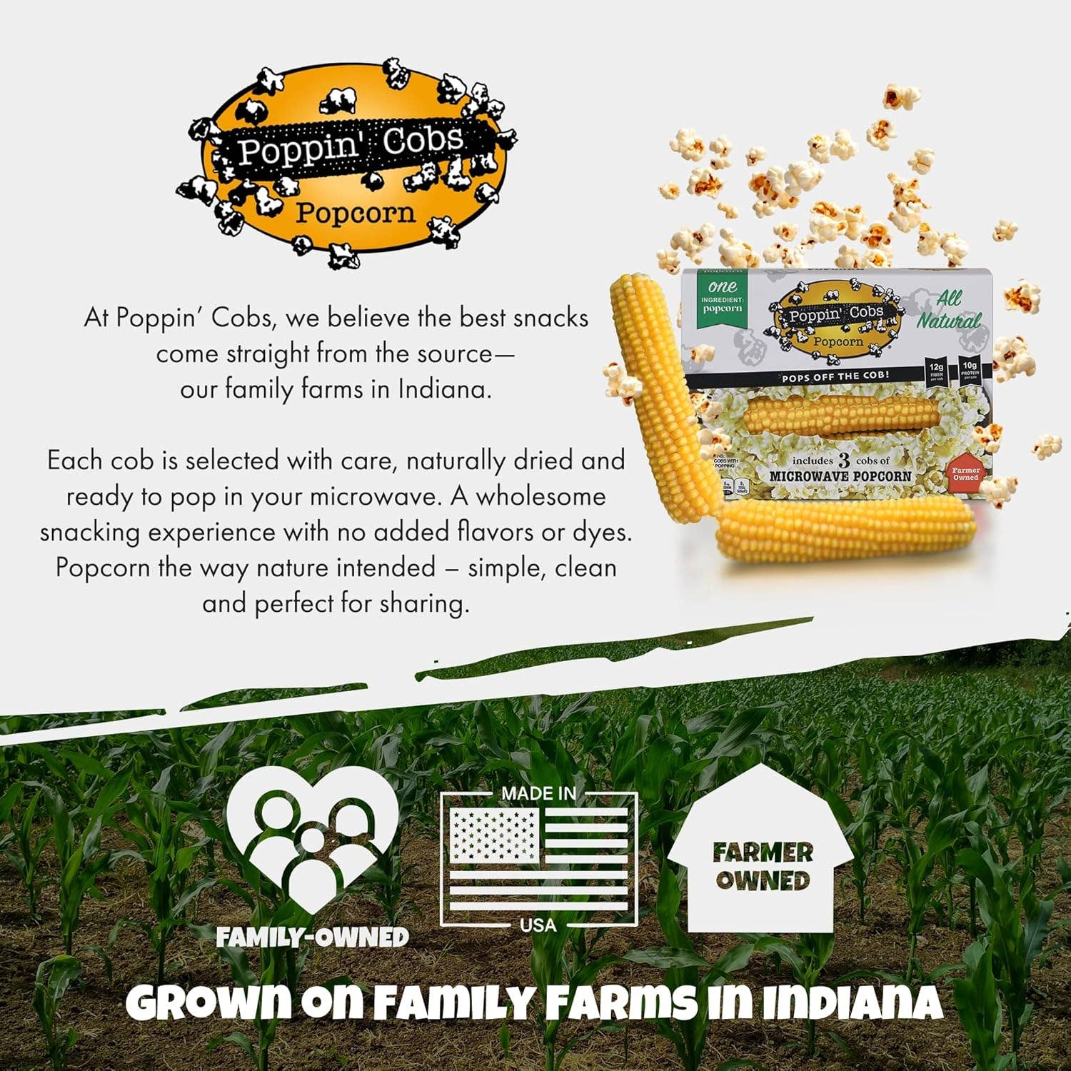 Poppin' Cobs Popcorn - Wholesale Popcorn - Popcorn aan de Kolf - Poppin Cobs Magnetron Popcorn - 3 Stuks8