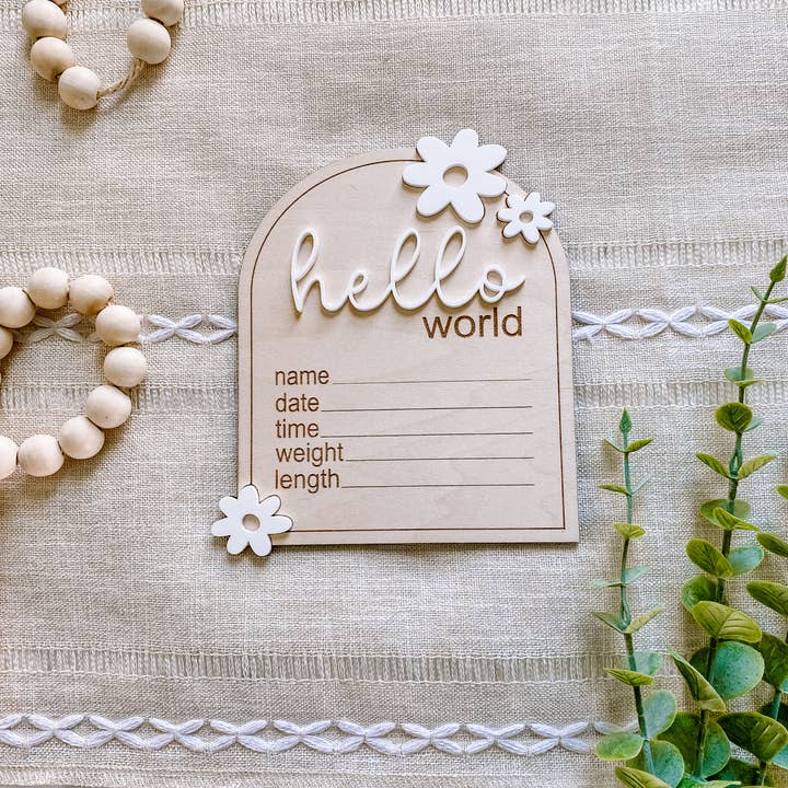 Claire and Bella - Wholesale Milestone Art/Keepsake - Kids & Baby - Wooden Monthly Milestone Set - Daisy1