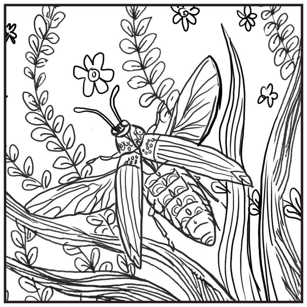 Hachette Book Group - Wholesale Activity Pad - Kids & Baby - Super Scratch Art Pads: Nature by Union Square Kids4