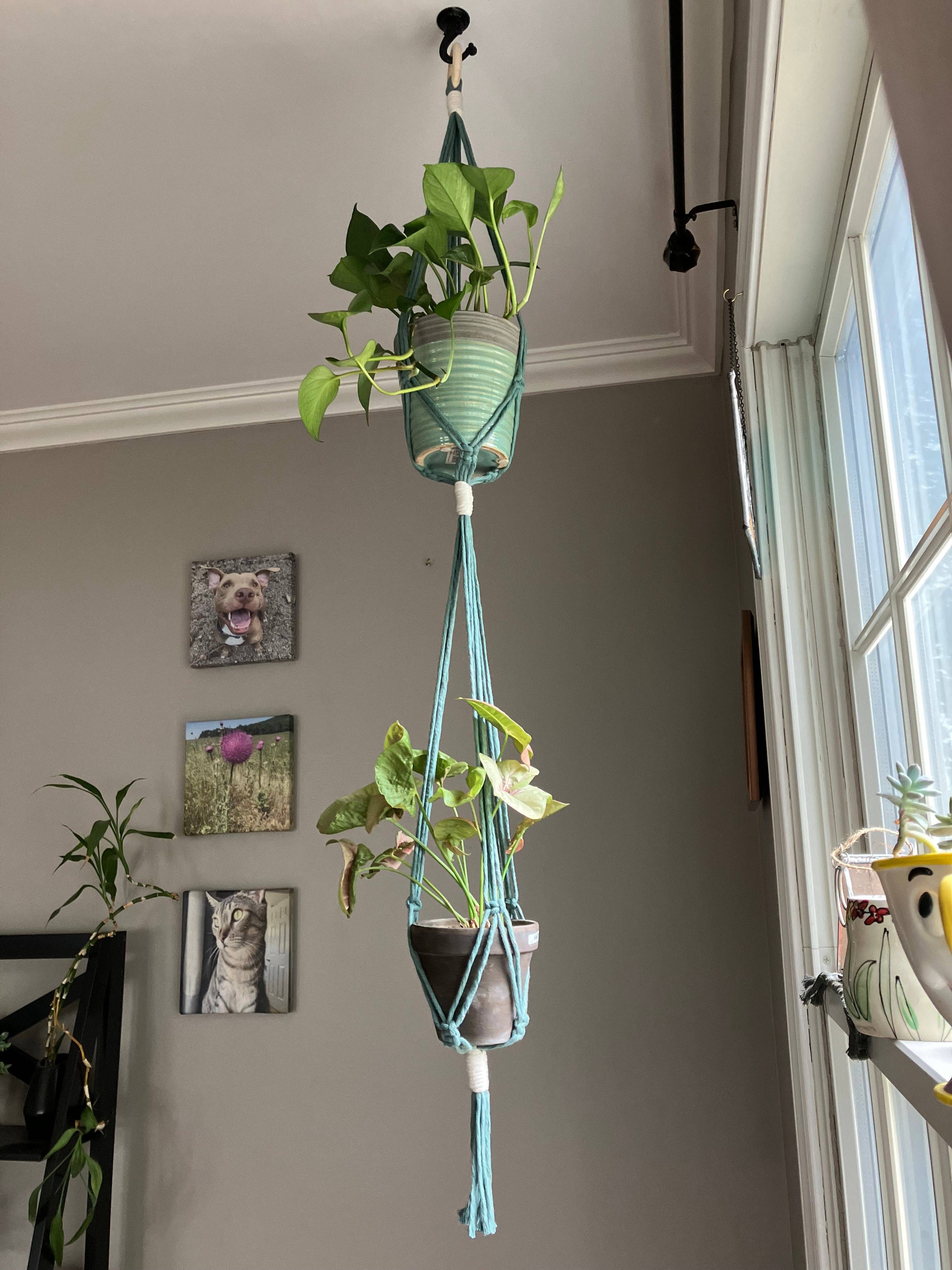 Why Knot - Wholesale Hanging Planter - Double Plant Hanger - Handmade Macrame Pot Holders1