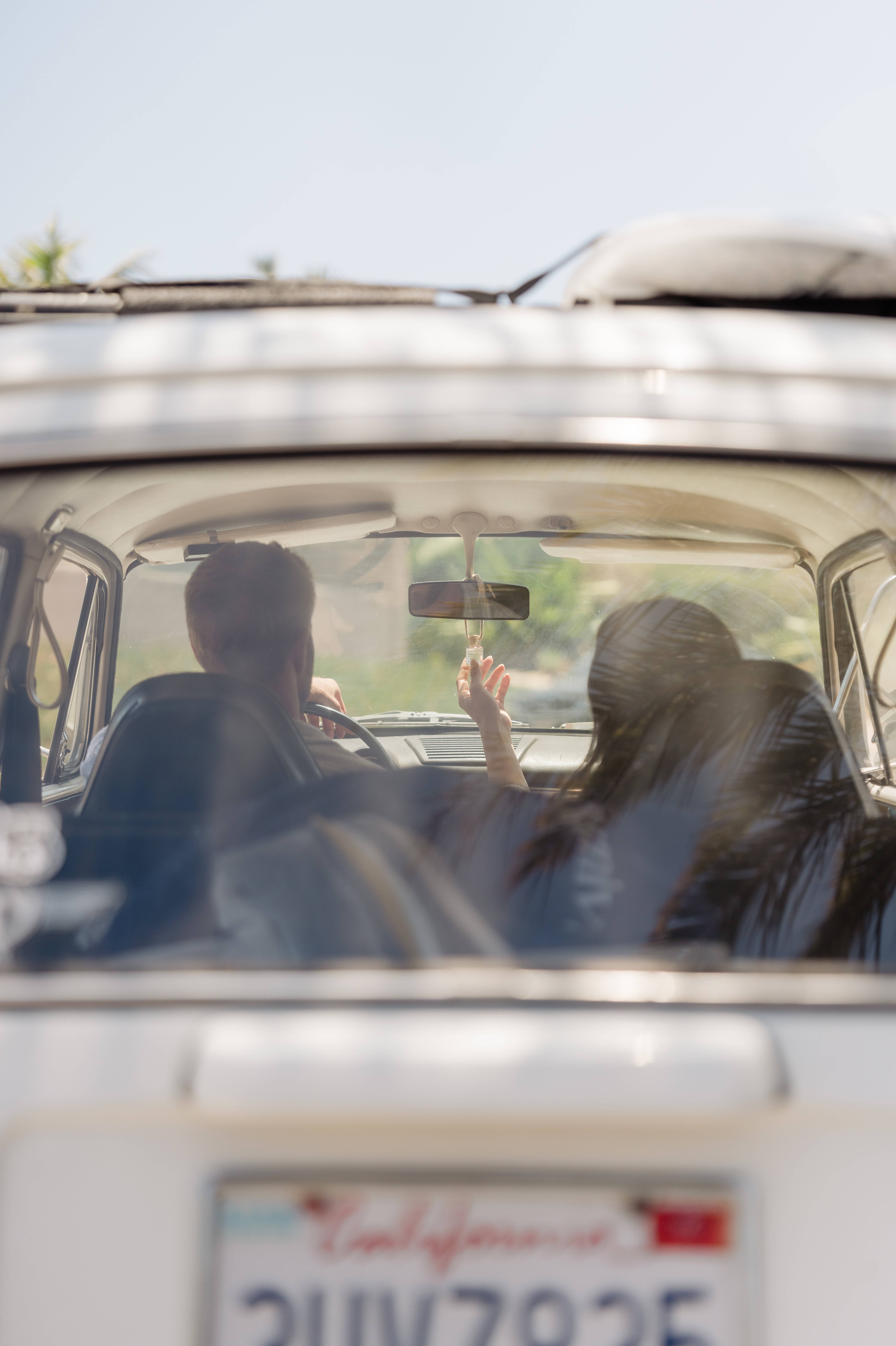 Ivy & Sage Collection - Vendita all'ingrosso Olio profumato - Diffusore per Auto Mora Selvatica – Frutta Autunnale & Tè2