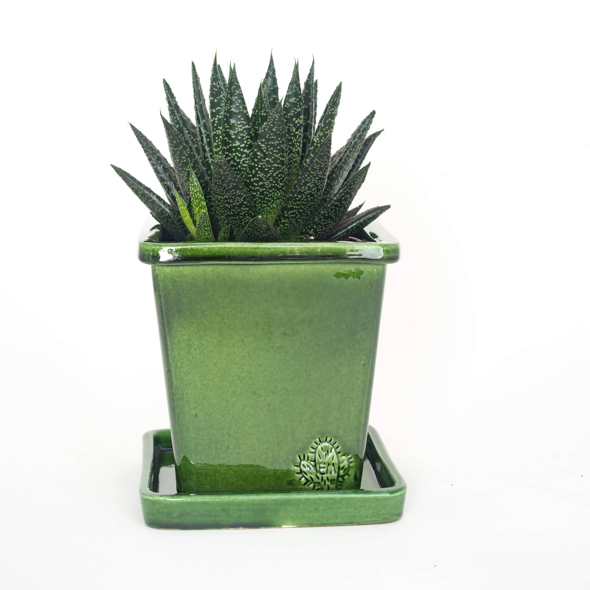 Vasos Quadrados by EM – Engroshandel Plantekrukke – Medium firkantet vase 14x14 cm - blank43