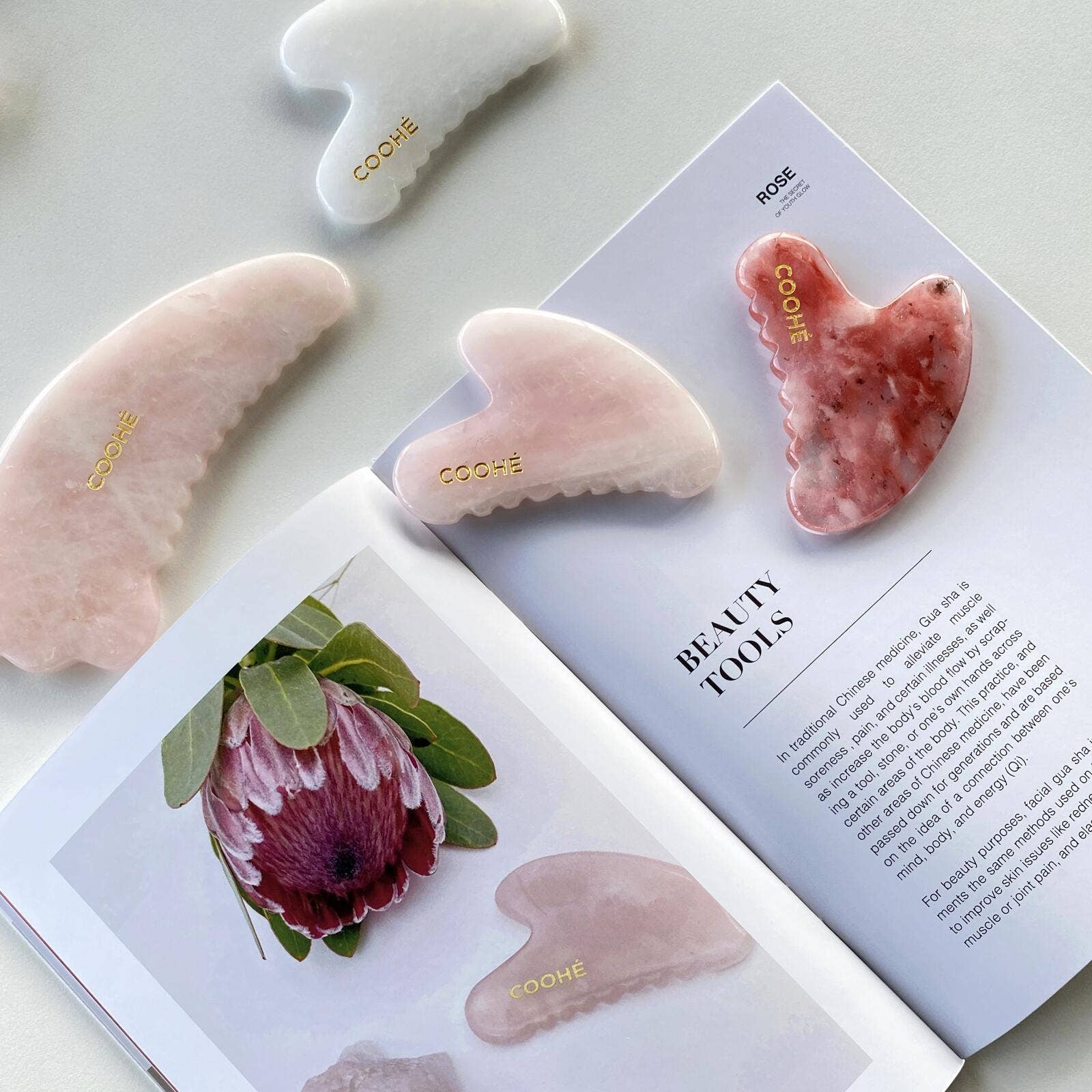 COOHE - Wholesale Gua Sha Tool - Gua Sha Red Fluorite Quartz3