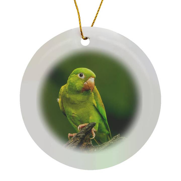 3dRose - Wholesale Ornament - 3dRose, Costa Rica. Orange-chinned parakeet close-up., Ornament