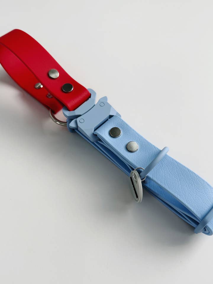 WATERPROOF DOG COLLAR - ALPINE SKI CLUB - ALPINE PATROL for wholesale by Hund & Shore