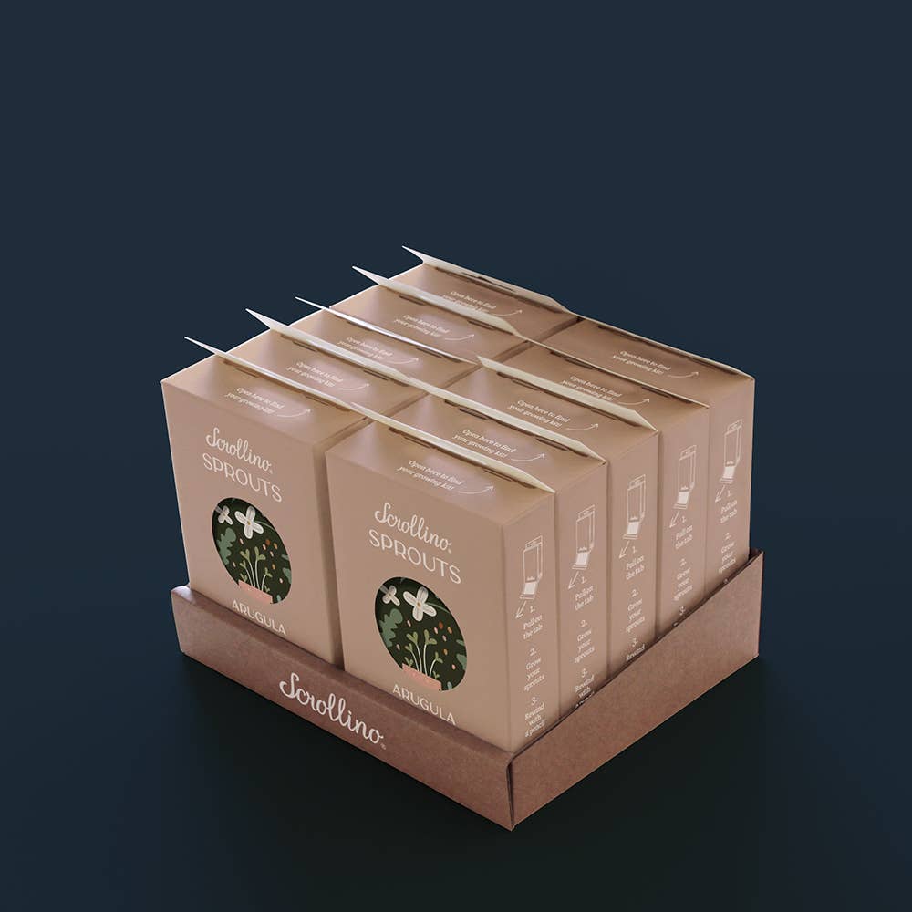 Scrollino - Wholesale DIY Craft Kit - Kids - Original Activity & Growing Kit - Scrollino Arugula Sprouts4