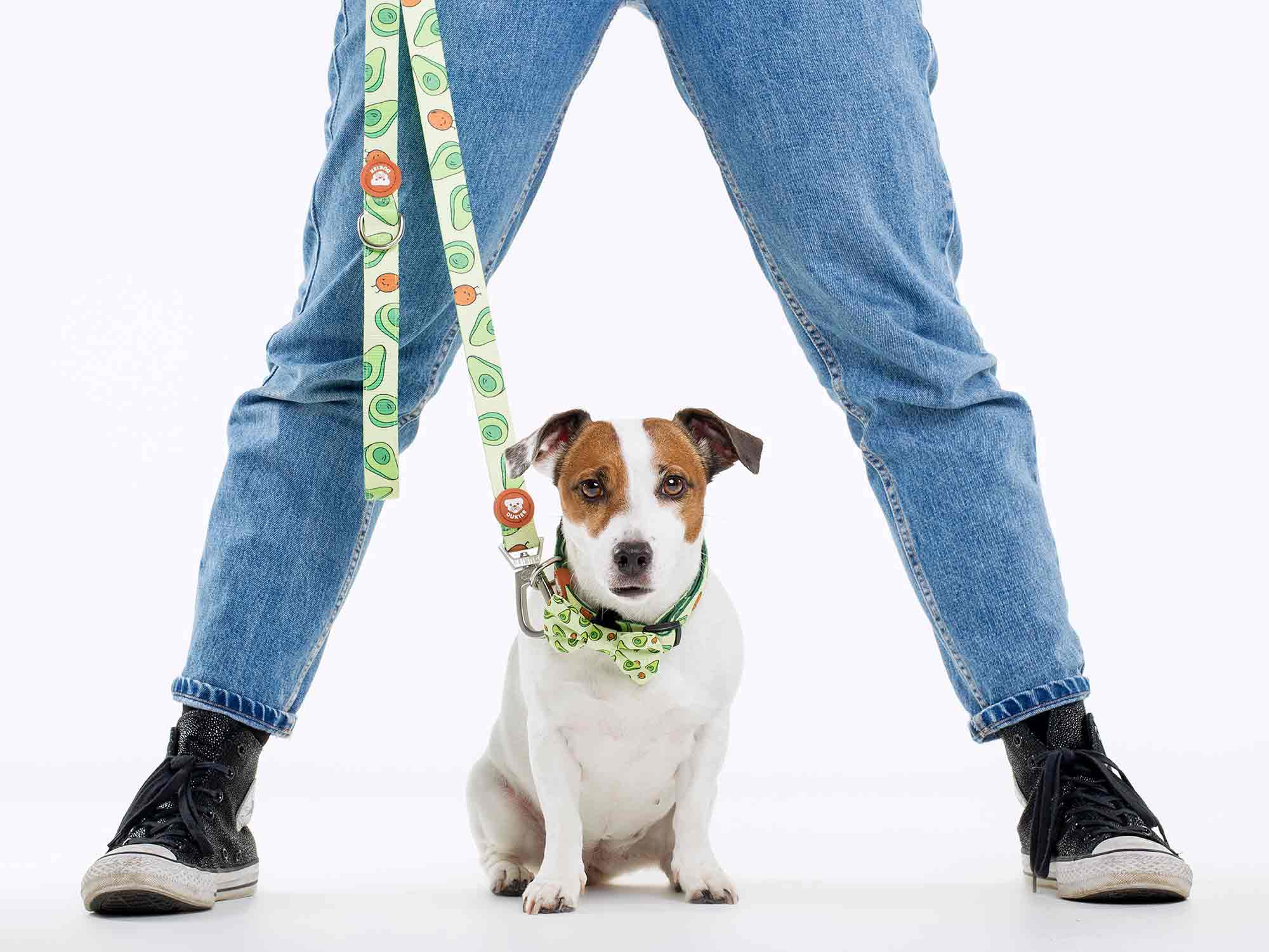 Dukier - Vendita all'ingrosso Guinzaglio - Cani - Guinzaglio Avocado per Cani1