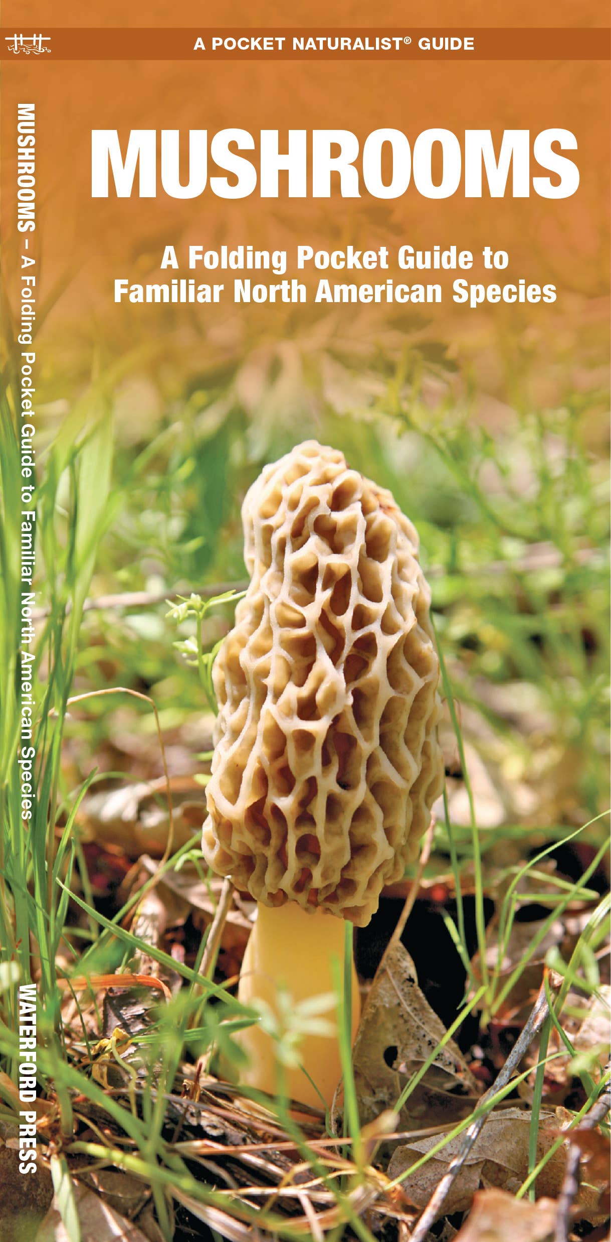 REMOVED BRAND - Wholesale Nature & Outdoors - Mushrooms: Folding Pocket Guide0