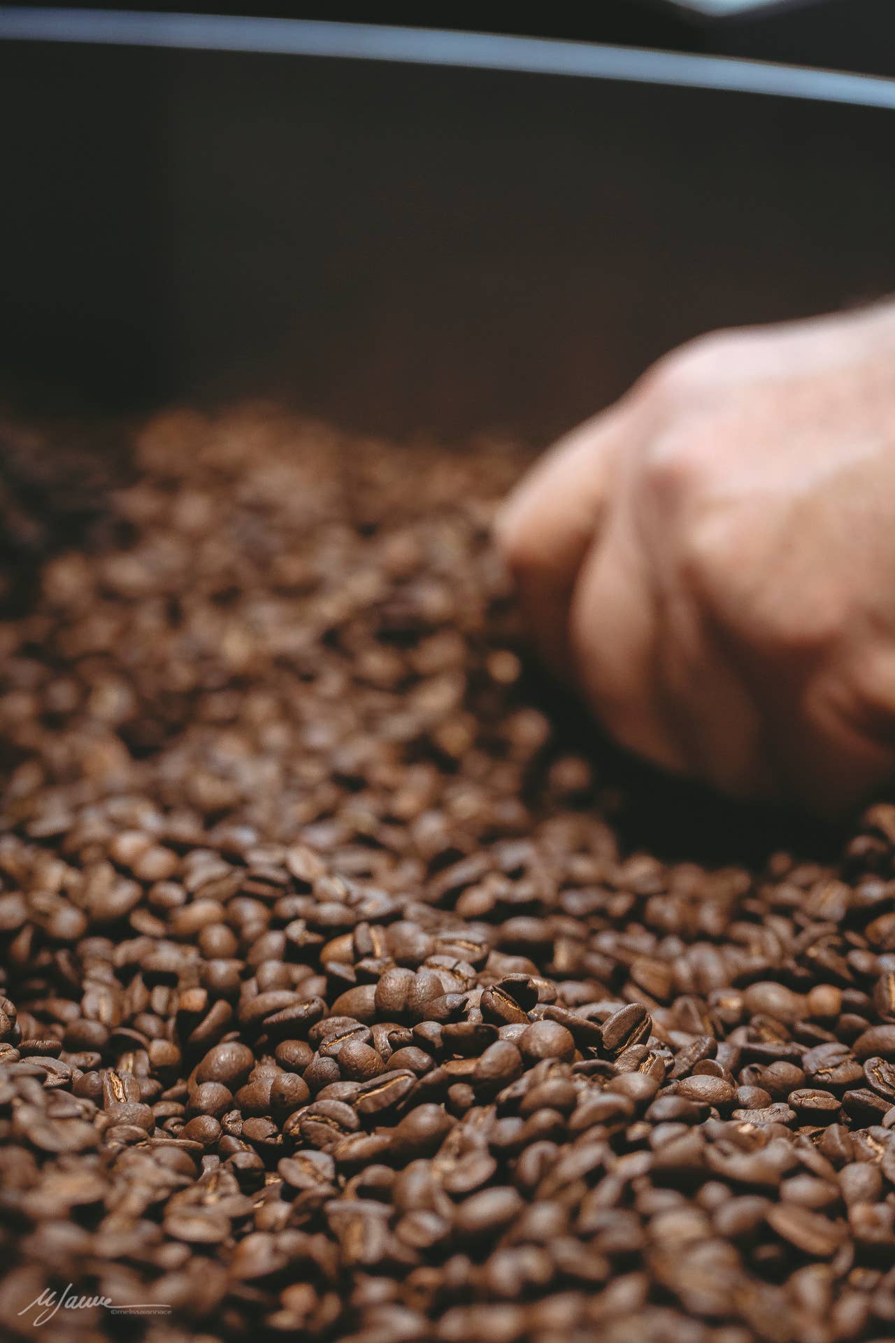 Cafe srls - Vente Grains de café - PASSION Café italien classique en grains torréfiés, 250 g5