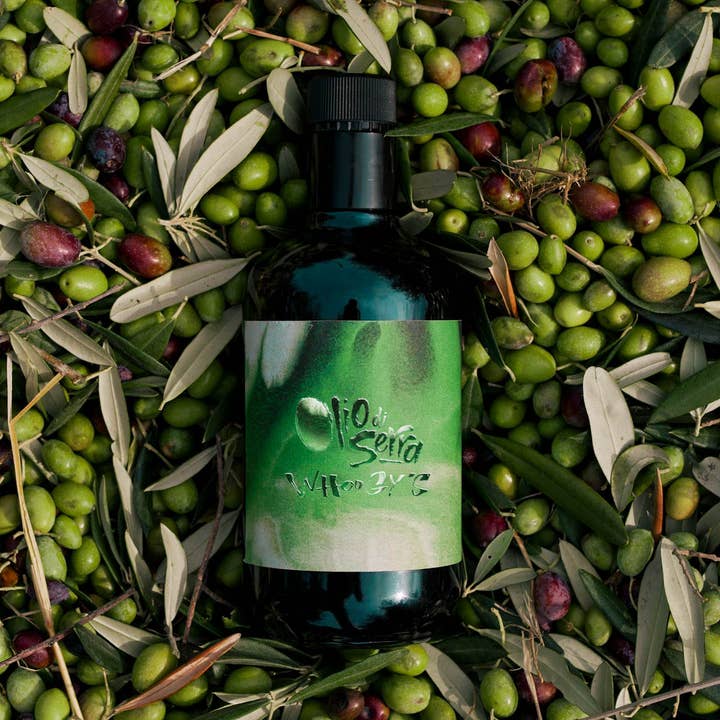 PRE-ORDER - Extra virgin olive oil - OLIO DI SERRA x WHOOGY'S - 2025 - Bottle (0.5L) for wholesale by OLIO DI SERRA