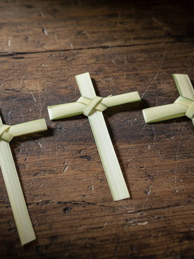 Palm Crosses 8" for wholesale by Backwoods Foliage