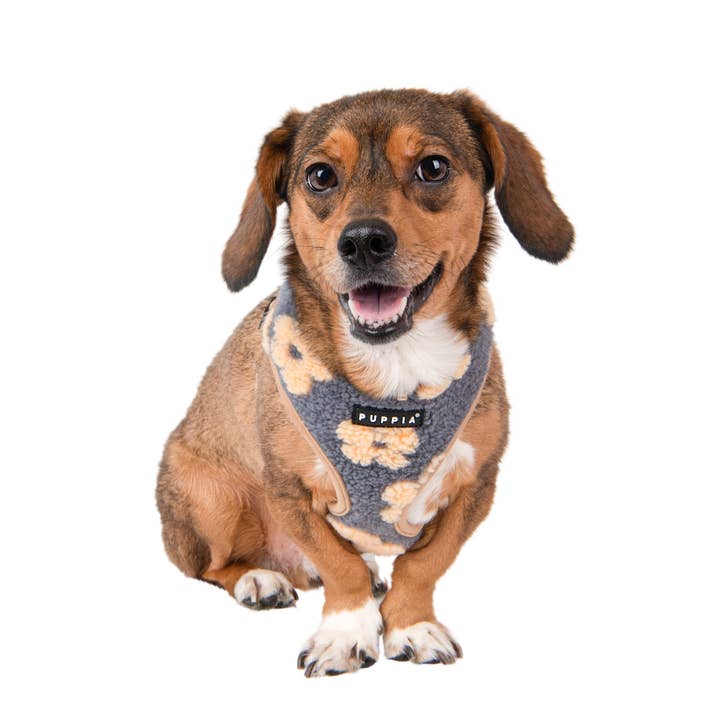 Puppia International Inc. - Wholesale Pet Harness - Dog - REN DOG HARNESS OVER-THE-HEAD ADJUSTABLE FLORAL4