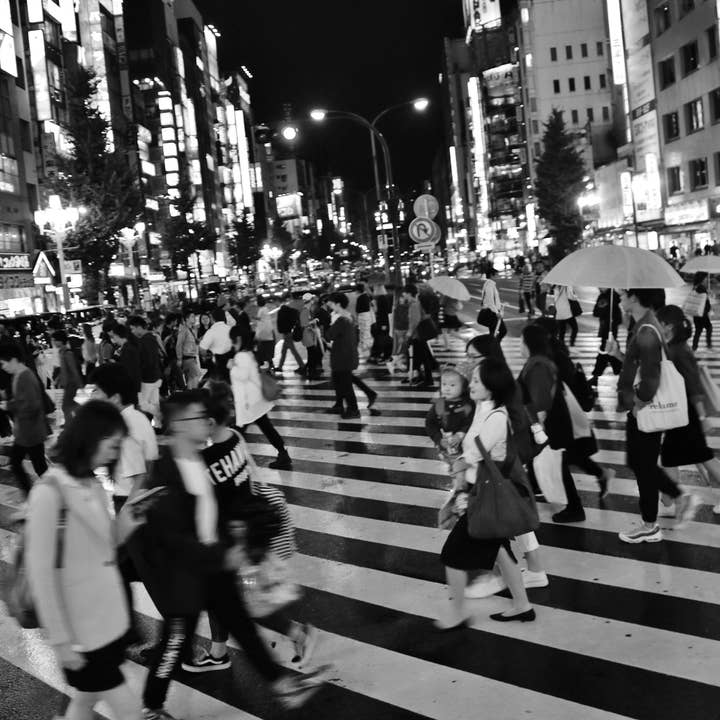 Shinjuku Tokyo Fototryck för wholesale av Mo & Paul Photography