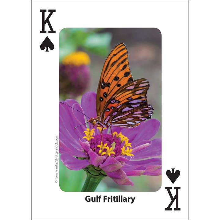 AdventureKEEN - Wholesale Playing Cards - Bees & Butterflies Playing Cards