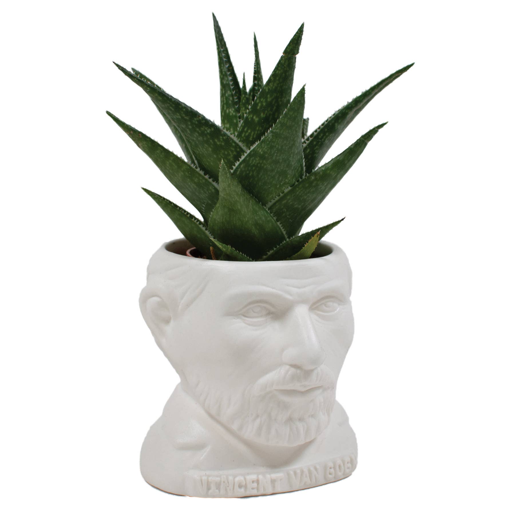 Unemployed Philosophers Guild - Wholesale Plant Pot - Vincent Van Gogh Planter3