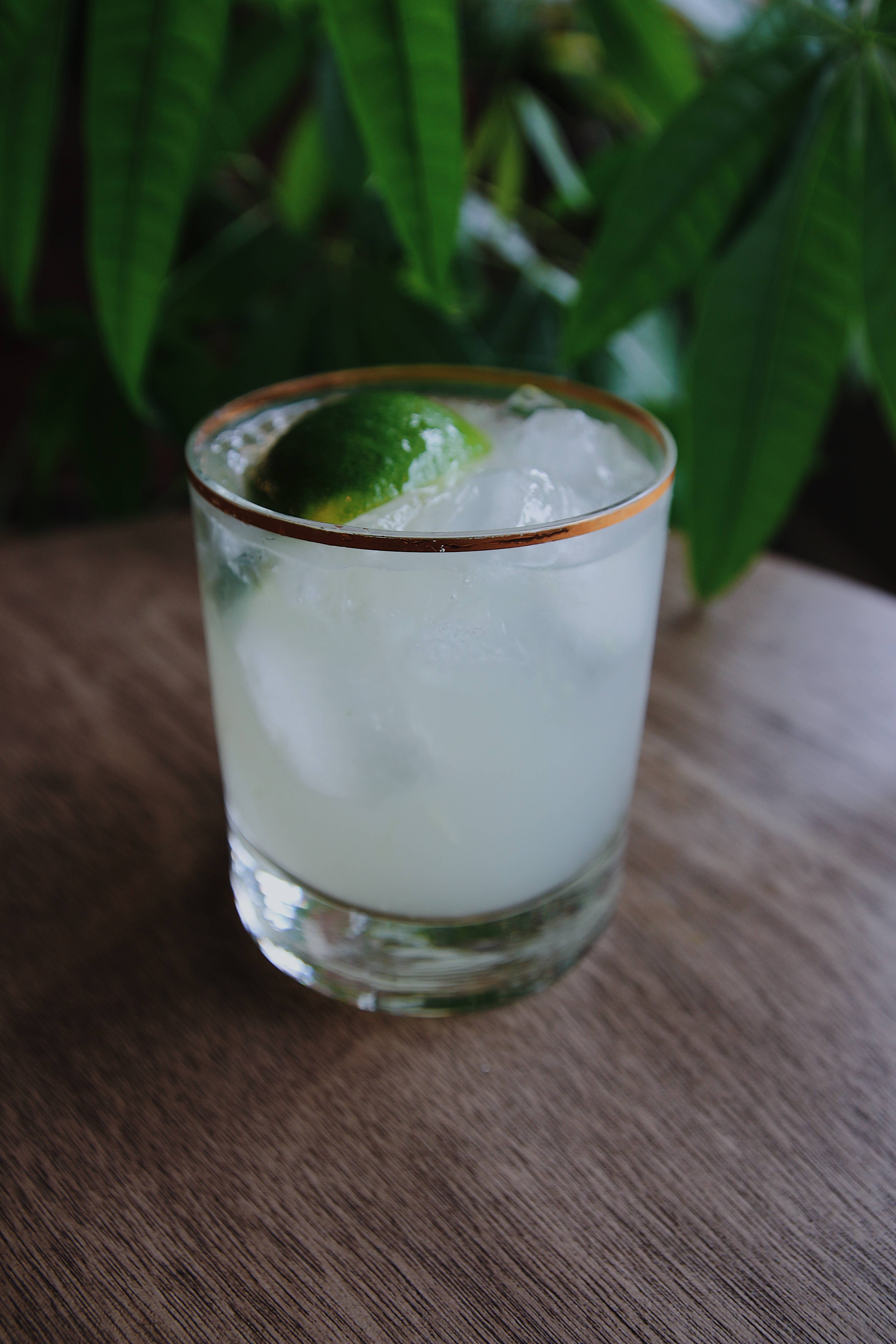 Bittercube - Wholesale Vanilla/Fruit Extract - Cardamom Seed Extract5