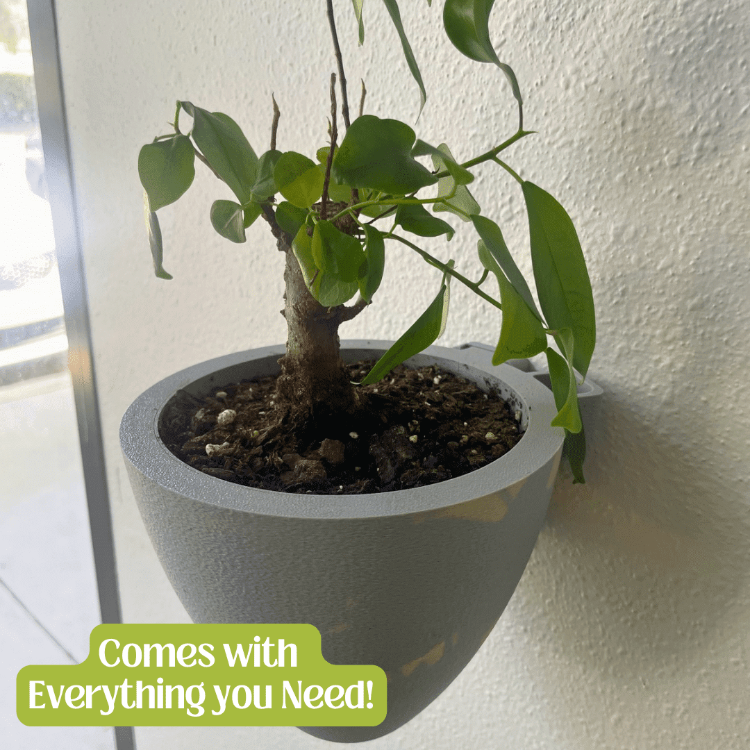 Chatelet - Wholesale Wall planter - Magic Wall Planters | Easy Care Self Watering Wall Planters with Internal Water Reservoir | Make Plant Care Easy7