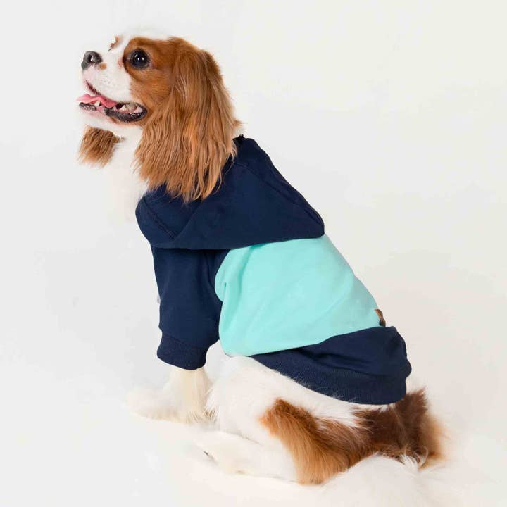 Fitwarm - Wholesale Pet hoodie – Dog - Color Block Dog Hoodie1