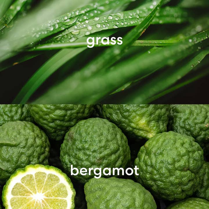 Literie – Engroshandel Glaslys – Eftermiddag i Central Park (Lille)3