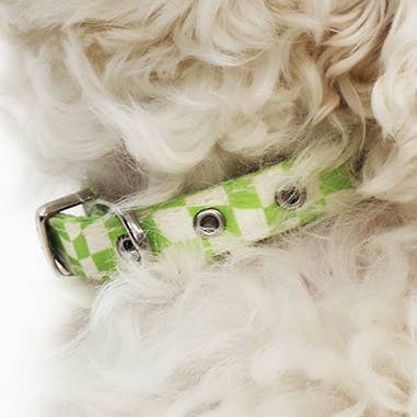 Oakley for wholesale by Daisy by Shelby