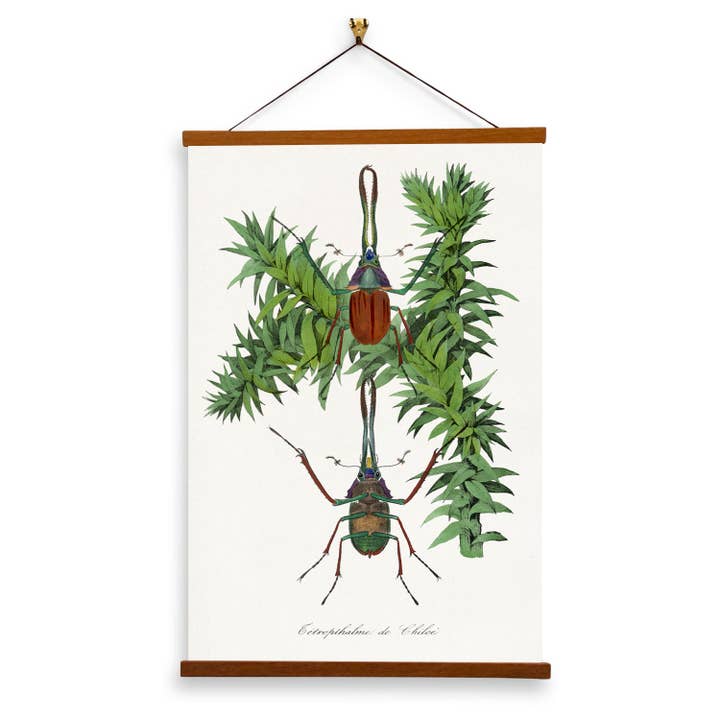 Stag Beetle Painting by Paul Gervais - Giclee Print on Canvas with Magnetic Hanger for wholesale by Vintage Banners