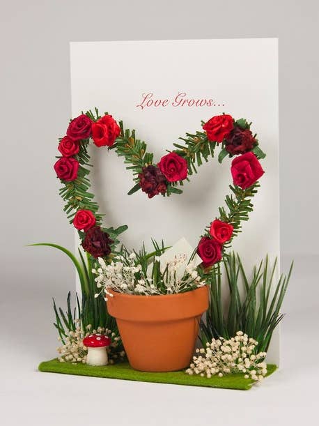 Kærlighed vokser for engroshandel hos Karrie Barron Limited