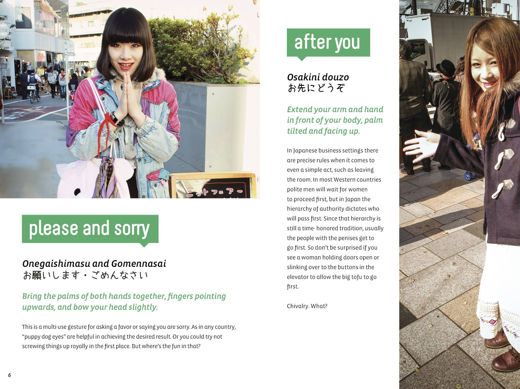 Schiffer Publishing - Wholesale Language & Linguistics - Maido: A Gaijin's Guide to Japanese Gestures and Culture4