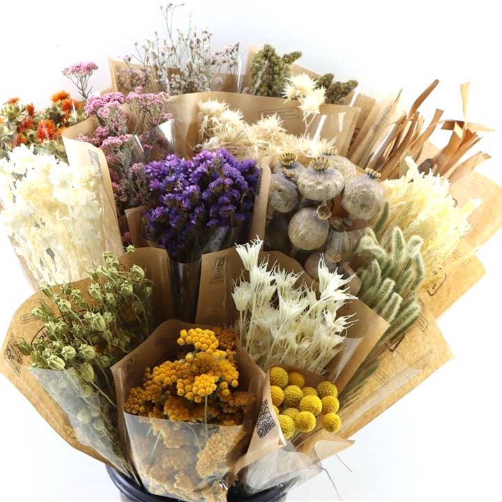 Dutch Flower Studio – Großhandel Getrocknete/gepresste Blumen – Mix Trockenblumen - Dekoration - 18 Sorten
