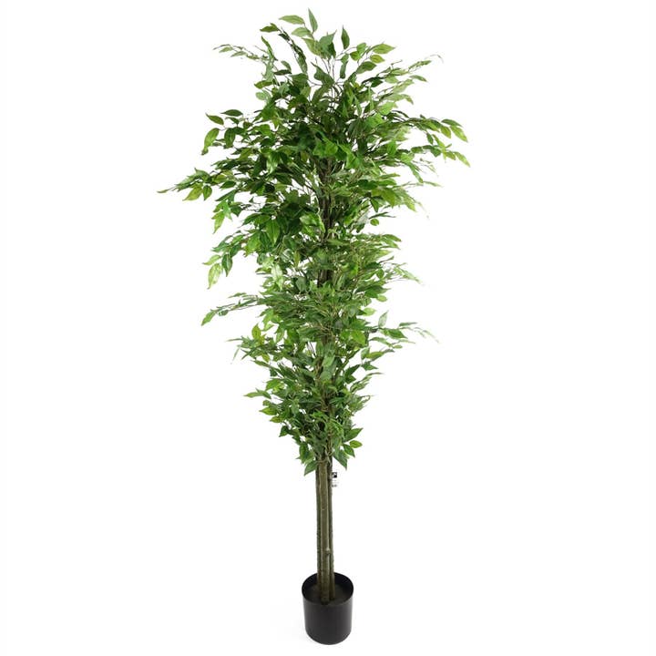 Artificial Ficus Tree Realistic - HUGE 180cm 6FT for wholesale by Leaf Design UK LTD