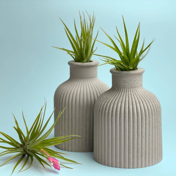 Planters Made in the USA - Wholesale Vase - MINI VASE, Tiny AIR PLANT HOLDER, Small Bud Vase, Desk Decor3