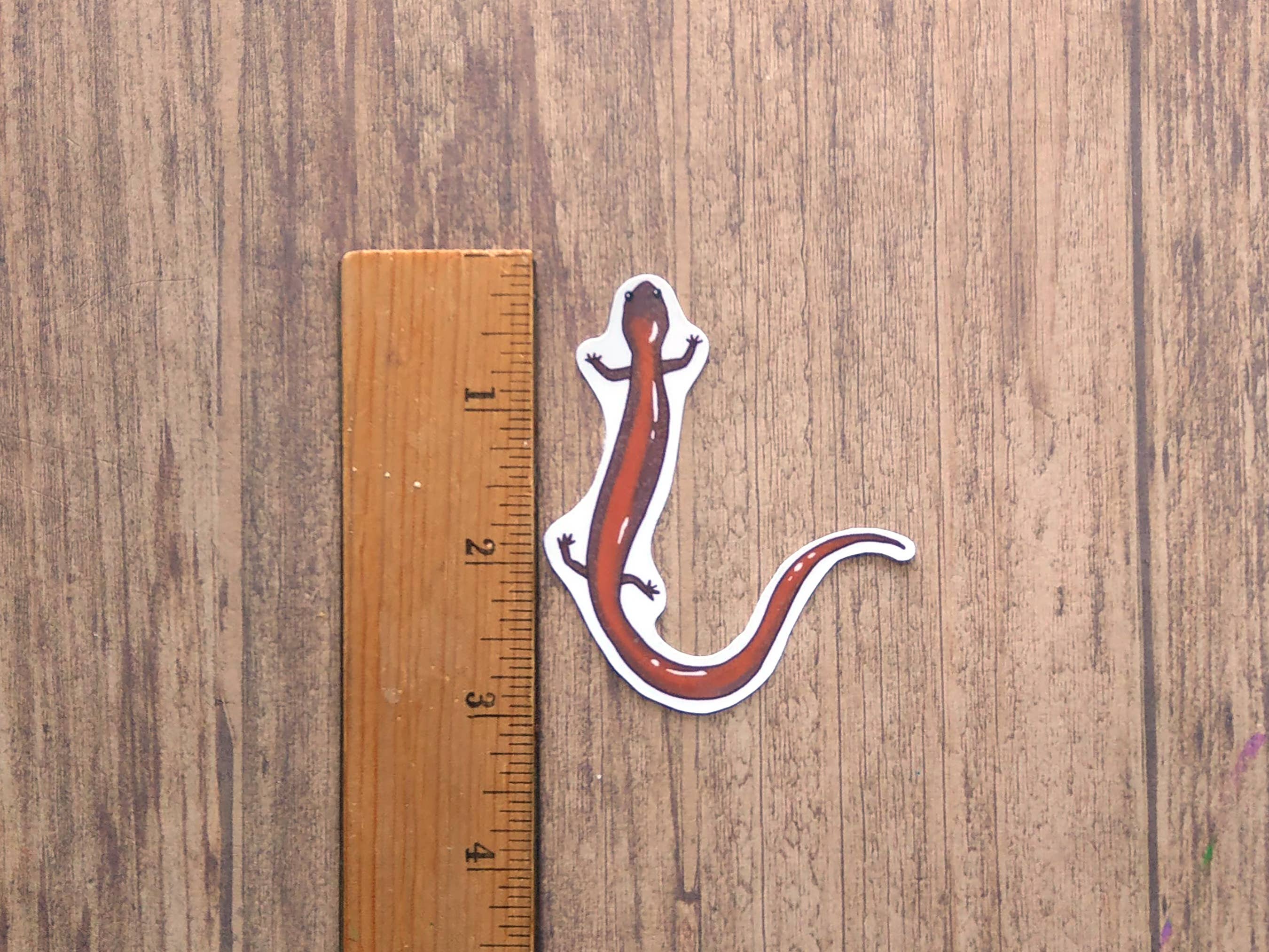 Proper Wolf - Wholesale Sticker - Red-Backed Salamander Vinyl Sticker Decal1