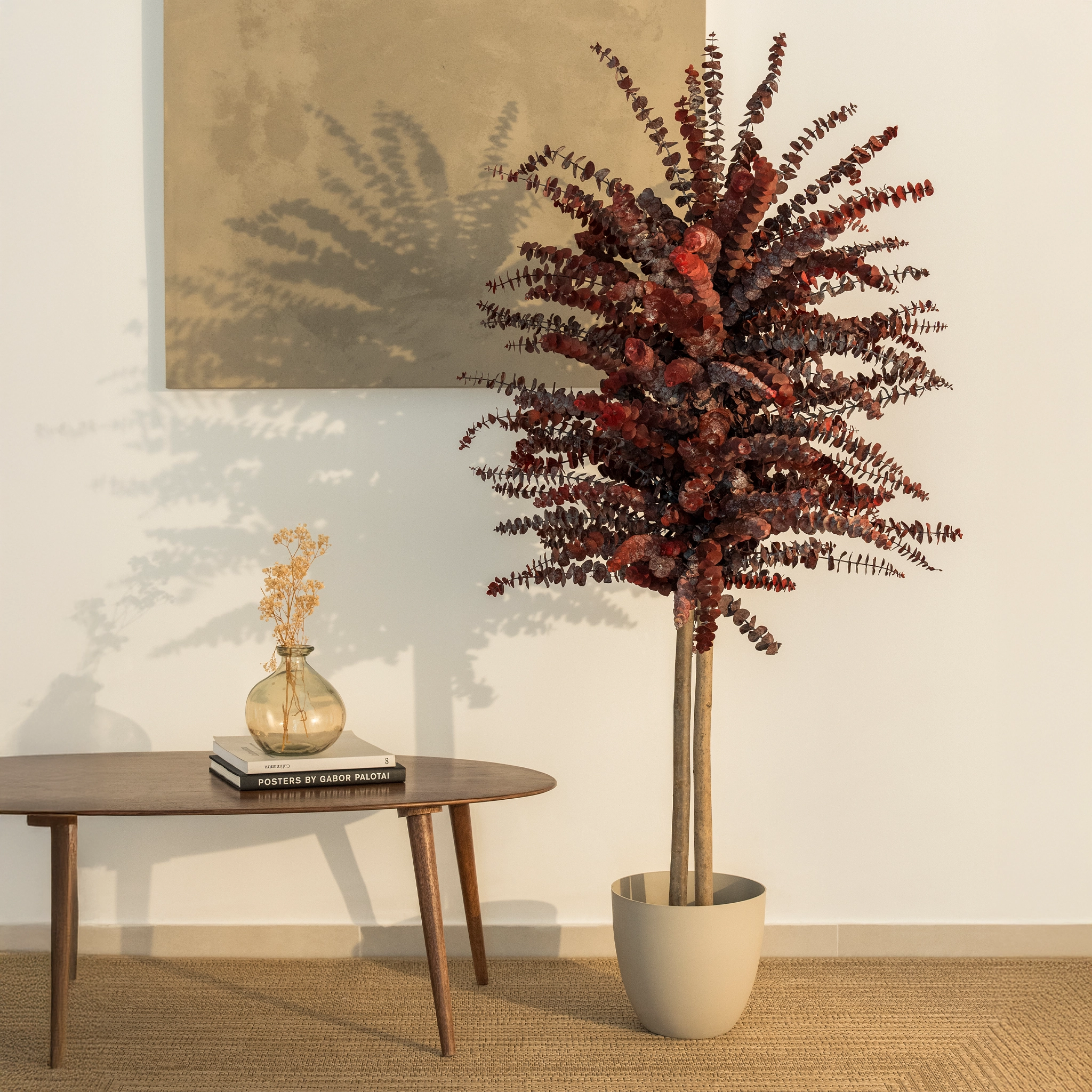 Maia Shop - Venta al por mayor Plantas artificiales - Árbol Eucalipto Preservado Baby3