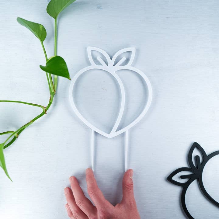 Rosebud Homegoods - Vente Treillis - Tuteur pour plantes grimpantes de pêcher5