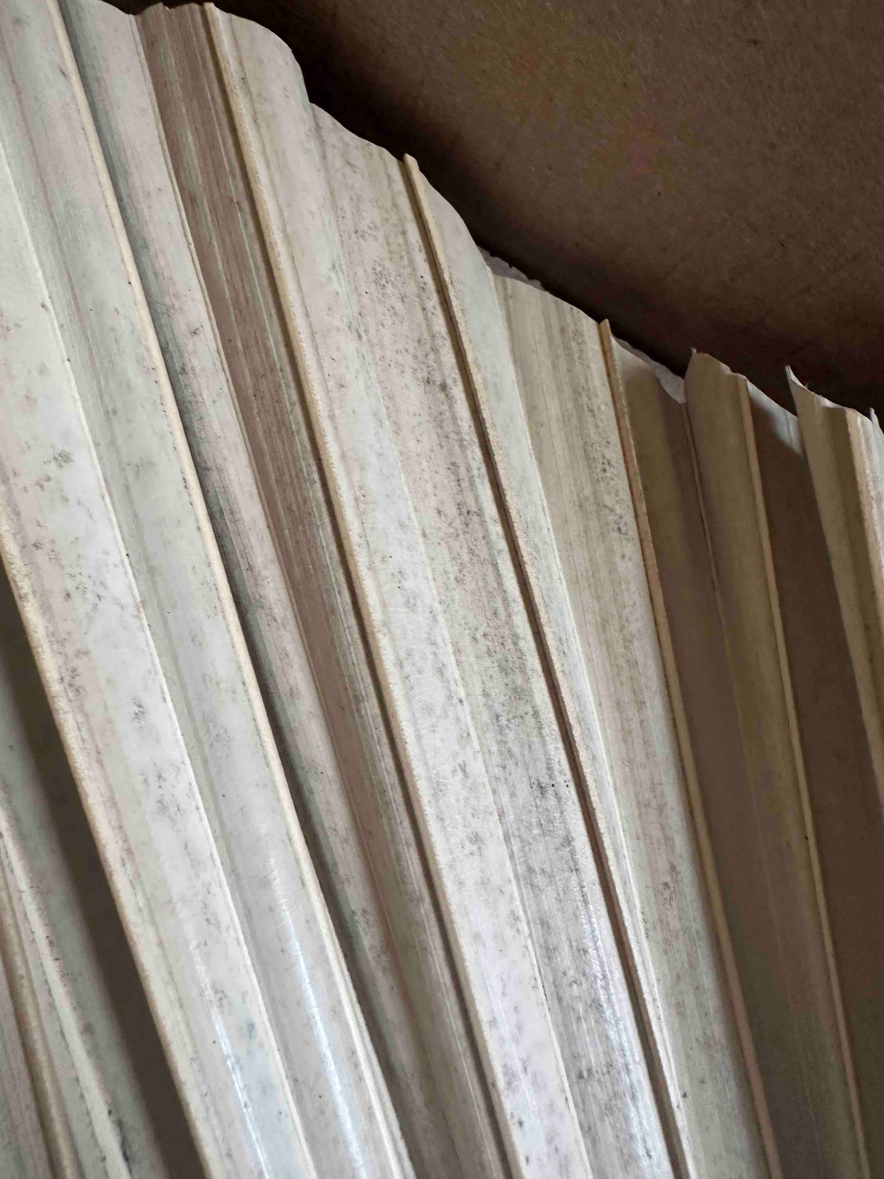 The Blooming Palm – wholesale Decal – Party decorations – Palm Leaves, Large Dried Trimmed Organic Tropical Dried Fan18