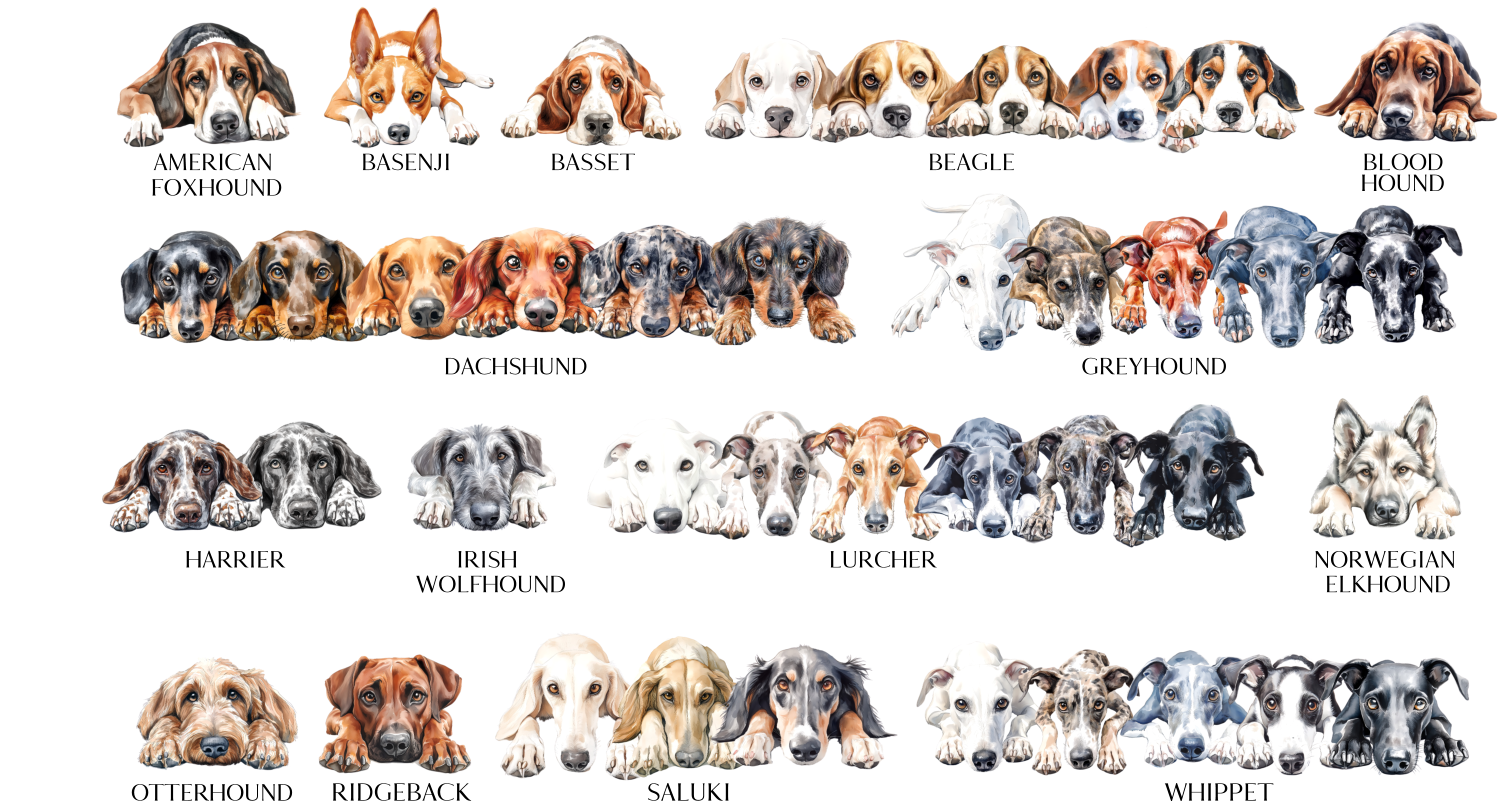 Storms Style – wholesale Tote bag – Unisex – Dog Tote Bag - 308 Designs 8