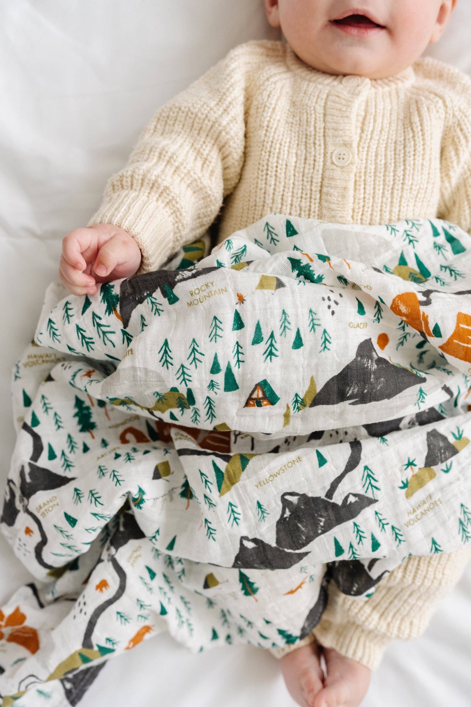 Clementine Kids - Wholesale Swaddle - Baby - National Parks Swaddle (Mini Pattern)3