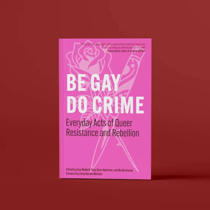 Be Gay, Do Crime: Queer Resistance And Rebellion for wholesale by PM Press
